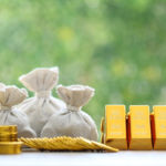 Why 10 gm Gold Coins and Bars Are a Popular Choice for Investors?